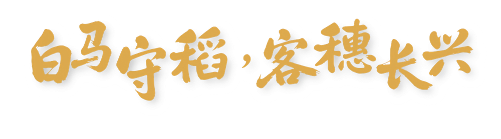 白马守稻 · 客穗长兴